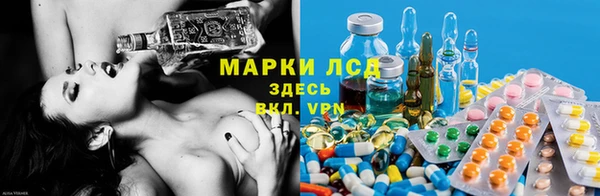 ECSTASY Богородицк